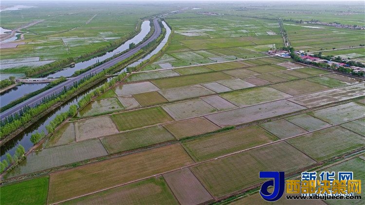 1507780081852846.jpg 5.jpg