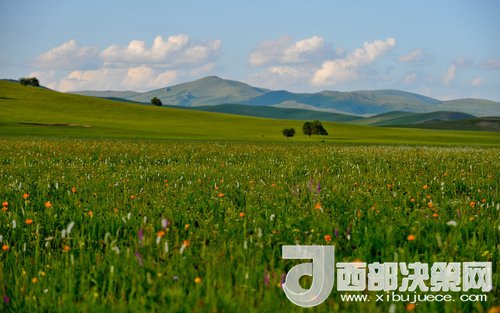 錫林郭勒草原。吳勇攝