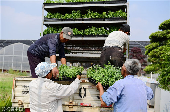 數(shù)字經(jīng)濟(jì)已經(jīng)成為我國經(jīng)濟(jì)社會(huì)更好發(fā)展的重要推動(dòng)力,也為我國鄉(xiāng)村發(fā)展提供了新的歷史機(jī)遇。(圖片來源:視覺中國)