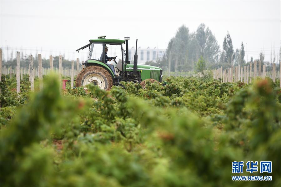 （壯麗70年·奮斗新時(shí)代——共和國(guó)發(fā)展成就巡禮·圖文互動(dòng)）（10）生態(tài)美、百姓富——品讀嶄新“寧夏畫(huà)卷”