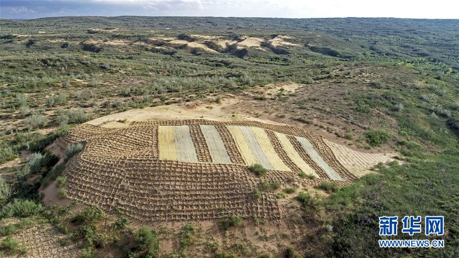 （壯麗70年·奮斗新時(shí)代——共和國(guó)發(fā)展成就巡禮·圖文互動(dòng)）（6）生態(tài)美、百姓富——品讀嶄新“寧夏畫(huà)卷”