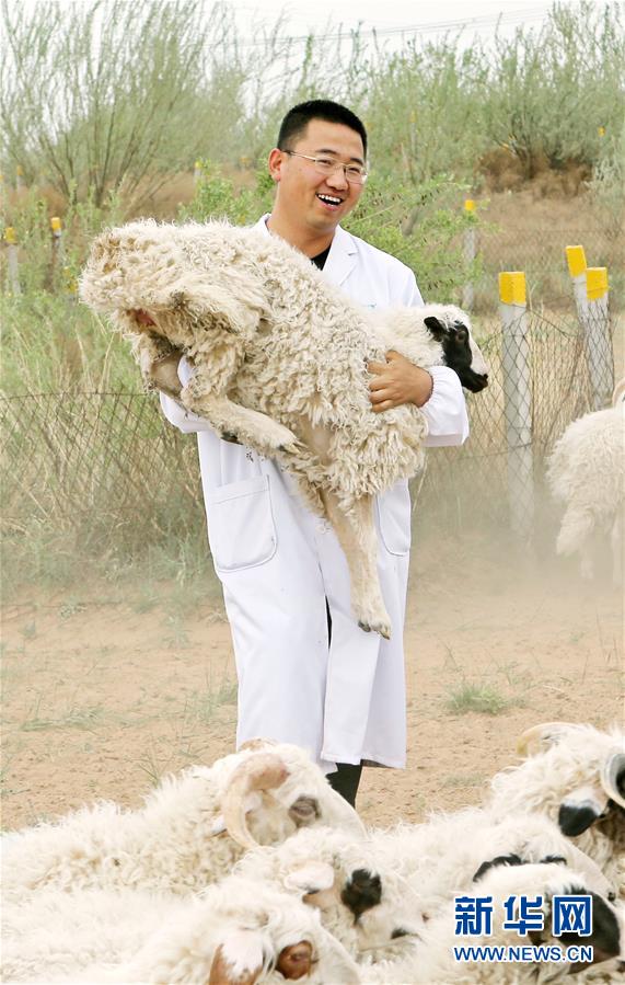 （壯麗70年·奮斗新時(shí)代——共和國(guó)發(fā)展成就巡禮·圖文互動(dòng)）（3）生態(tài)美、百姓富——品讀嶄新“寧夏畫(huà)卷”