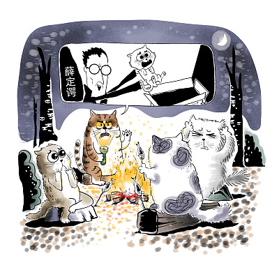 ▲物理學(xué)家薛定諤曾用一只貓比喻量子疊加。圖片來源：視覺中國(guó)