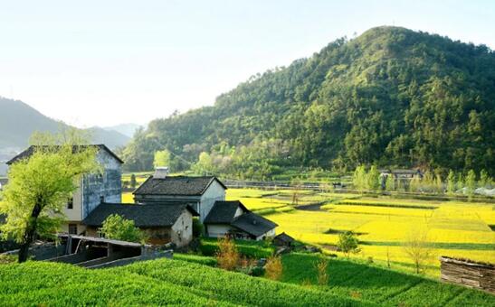 圖片來(lái)源:攝圖網(wǎng)