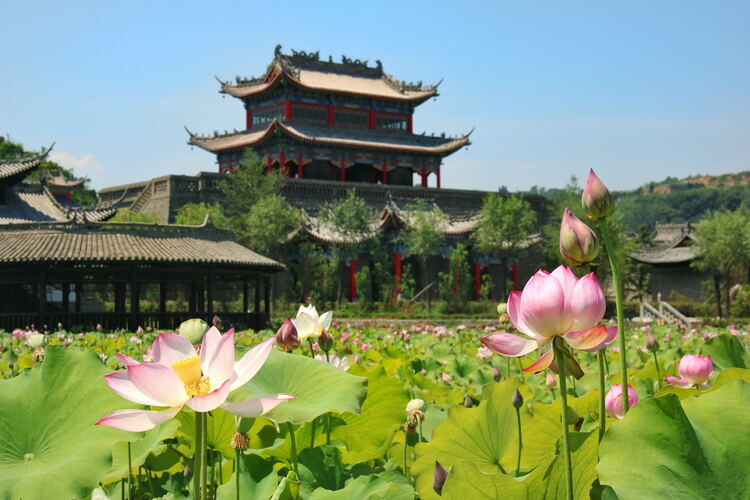 【云游渭南】心中若有桃花源，此處便是水云間！待疫情散盡，一起來渭南桃花源賞美景、觀民俗、享美食_fororder_2